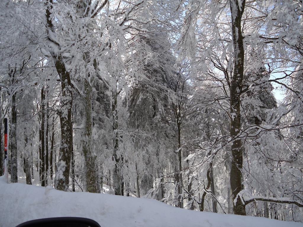 Berghotel Schiller Schonach im Schwarzwald Zewnętrze zdjęcie