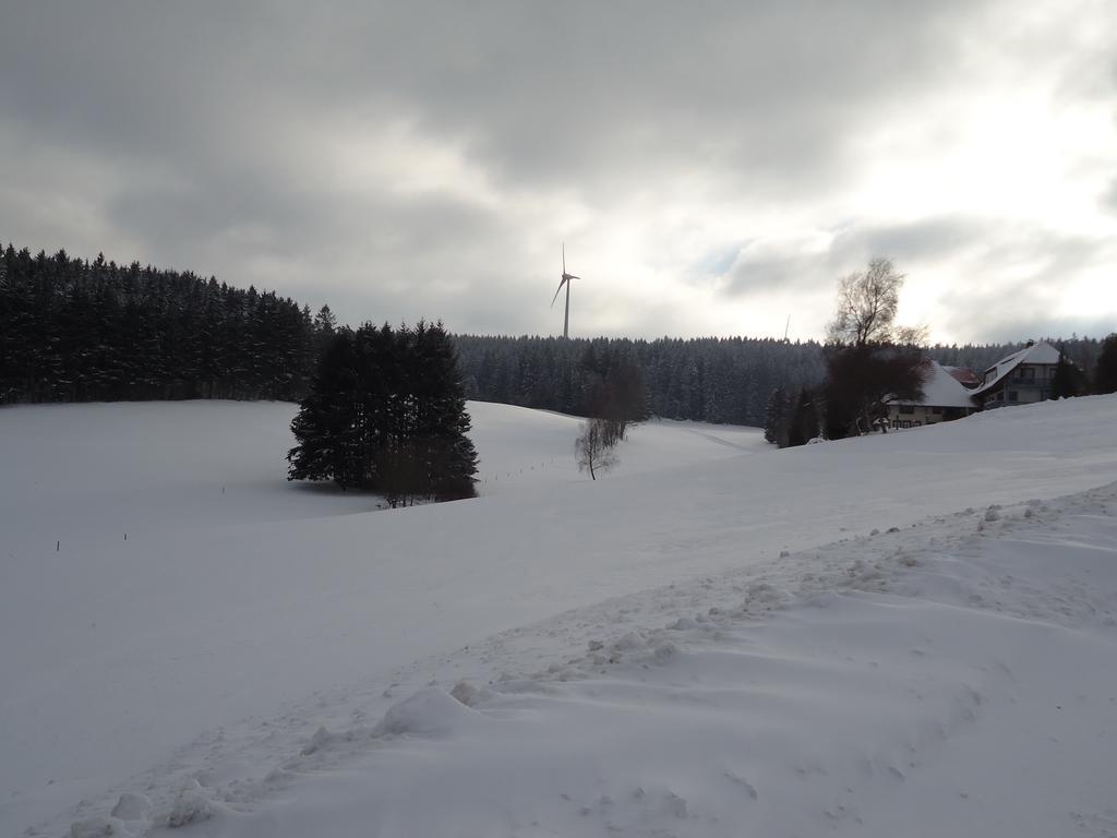 Berghotel Schiller Schonach im Schwarzwald Zewnętrze zdjęcie